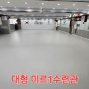 용인대서울태권도장 이미지