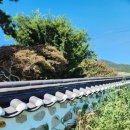 소향민박 이미지