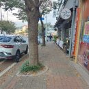 코코베르나