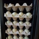 계두농장 이미지