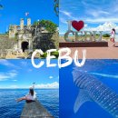 여행 | 세부 여행 예산 일정 세부 패키지 여행 후기