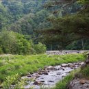 솔밭쉼터 이미지