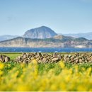 봄정형외과의원 이미지