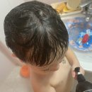 미르팜 | ( 카르베 샴푸 ) 아이와 함께 사용해본 후기