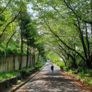 황령산레포츠공원 게이트볼장 이미지