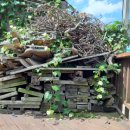 도희네 농장 이미지