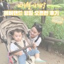 불정로(대로2-16) | 16개월 아기랑 에버랜드 평일 오픈런 후기
