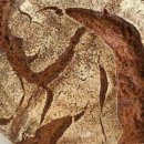 스페인아오라 이미지