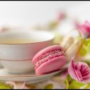 카페 메뉴 디저트 이미지