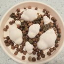 루비 | 피키펫 강아지 눈물자국 영양제 후기｜루비 눈 건강 관리🐶