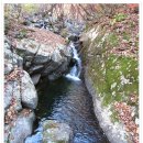 광치자연휴양림 이미지