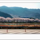 섬진강 레일바이크 이미지