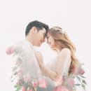 이야기올제