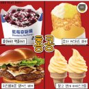 터미널스타약국 | ⑩ 몽콕 레이디스마켓│하버시티 애니마 도쿄│심포니 오브 라이트│스타페리 탑승후기│트램 타고 숙소로🚊