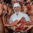 한국축산 이미지