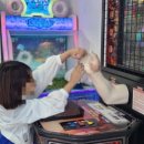 대천게임월드 이미지