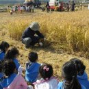 초평초교 병설유치원 이미지