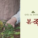 본죽군산소룡점 이미지