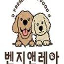 벤지애견