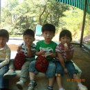 준용농장 이미지