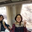 거성철강 | 일본 게로온천/나고야 /시라카와고 합장촌 여행 (3-2)