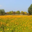 강변어린이공원 이미지