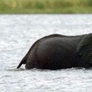 탑보습학원 이미지