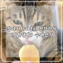 멍빵댕빵 이미지