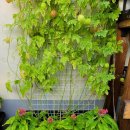 3대정이비인후과의원 이미지