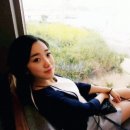 그림GREAM