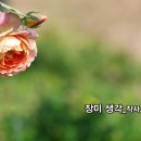 봄특집_듀엣발라드_장미 생각_작사 윤기영_가수 블루핑크_작 편곡 수노_기획 영상 윤기영 이미지