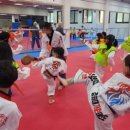 칭찬태권도장 이미지