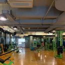 매일스포렉스 이미지