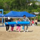 수신초등학교 병설유치원 이미지