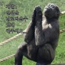 오때