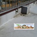 솔경