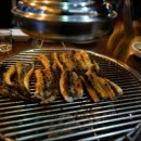 회랑장어랑 이미지