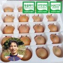 바른농장계란 이미지