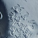 정규코스. 특별코스 | 한라산 성판악~관음사코스/7시간/18.3km/구간별 자세히