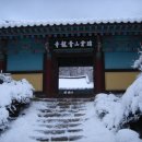 청용사 Daum카페