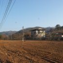 세계명견 감곡켄넬 이미지