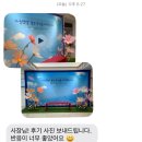 준플라워 | 다시 찾아준 양천구 교회 ^^ 실크 자이언트 플라워 포토존 대여 후기