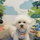 위드뚜뚜 이미지