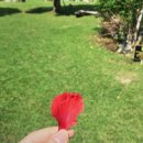 괌 정글리버크루즈 완벽 가이드 🌿 정글투어·정글크루즈·태교여행까지 이 한 편으로 끝!