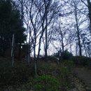 독산테니스장 화장실 이미지