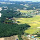 나리와꽃창포 이미지