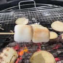 정선스테이 이미지