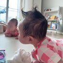 하니네 | 추천인 2만원 페이백! 쌍둥이 단두 아기 헬멧, 하니헬멧 3개월 쓴 후기