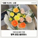 플로맨스