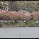 서호공원 이미지